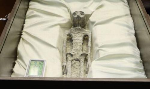 Kiểm tra xác nghi là 