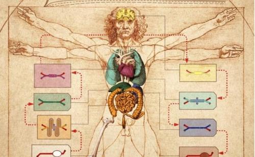 Các mạch dẫn điện được tạo ra trong cơ thể con người và rào cản giữa thế giới kỹ thuật số và thế giới thực sắp biến mất!