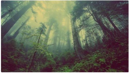 Hiện tượng “ma ám hay quỷ ám” liệu có thật hay chỉ là mê tín?