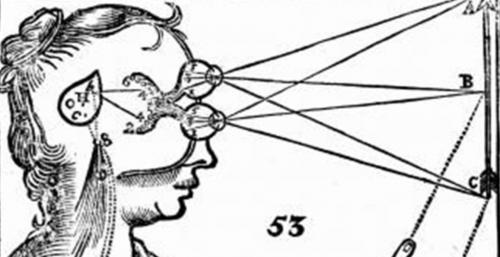 Thể tùng quả - Con mắt thứ 3 bên trong não bộ.