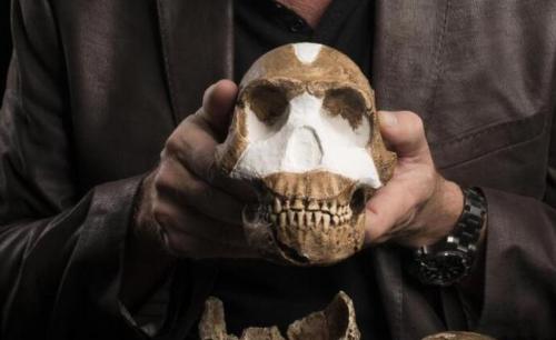 Chủng người não bé Homo naledi đã biết dùng lửa và thắp sáng hang động từ 230.000 năm trước!