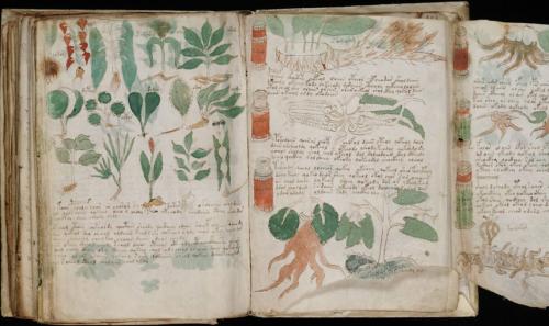 Những ngôn ngữ bí ẩn làm đau đầu các nhà khoa học