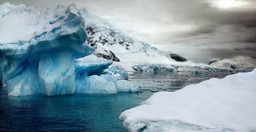 Nam Cực có khí hậu rừng nhiệt đới 90 triệu năm trước