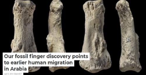 Hoá thạch ngón tay Homo sapiens 90.000 tuổi cho thấy sự di cư sớm hơn của con người vào Ả Rập