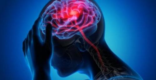 Sóng não hoạt động mạnh 30 giây trước và sau khi chết, là biểu hiện của hồi tưởng cuộc đời?