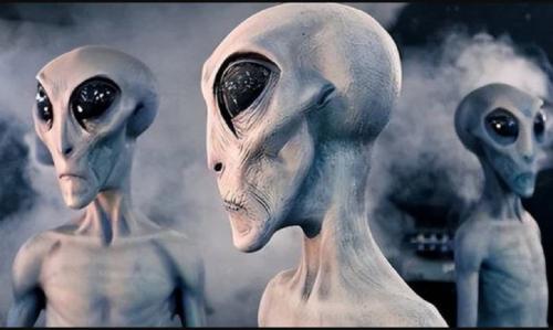 Người ngoài hành tinh dưới biển sâu: Quan điểm gây tranh cãi của chuyên gia UFO Anna Whitty