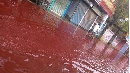 Bí ẩn hiện tượng mưa máu và những giả thuyết hệt như trong phim viễn tưởng