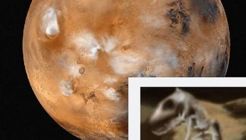 Xôn xao phát hiện hóa thạch khủng long trên sao Hỏa