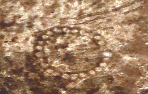 NASA công bố hình vẽ bí ẩn 8.000 năm trước tại Kazakhstan