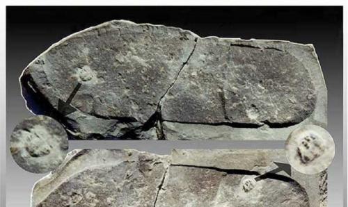 Bằng chứng hóa thạch về các nền văn minh tiền sử hàng triệu năm trước