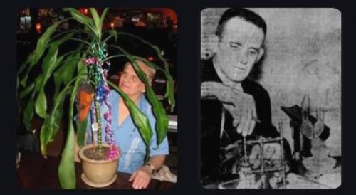 Thí nghiệm chấn động thế giới của chuyên gia CIA Backster: Thực vật cũng có cảm tình