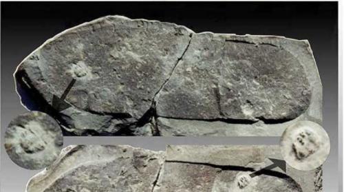 Tại sao khoa học không công nhận bằng chứng về nền văn minh tiền sử tiên tiến?