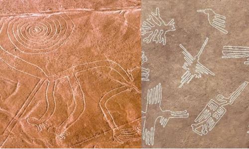 Loạt nét vẽ cổ đại trên đất nghìn năm không mờ ở Peru