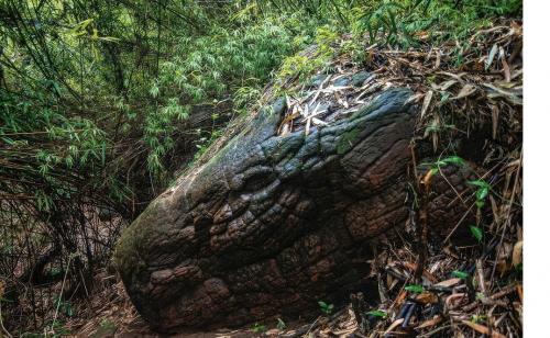 Tìm thấy hang động hình rắn khổng lồ