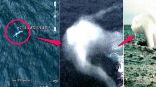 Bí ẩn về quái vật biển hình người dài 30 mét ở Nam Cực