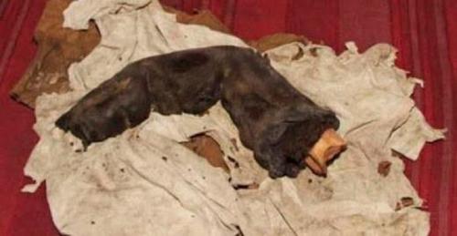 6 bằng chứng cho thấy người khổng lồ từng tồn tại trên Trái Đất?