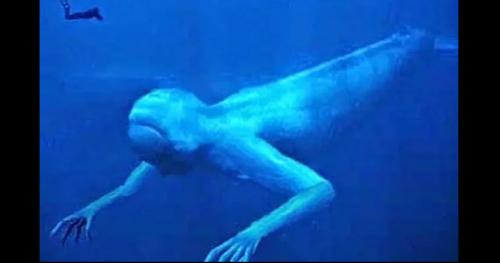 Phát hiện sinh vật giống người ở Nam Cực gây chấn động?