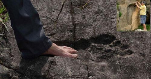 Dấu chân khổng lồ thách thức hiểu biết về lịch sử nhân loại?