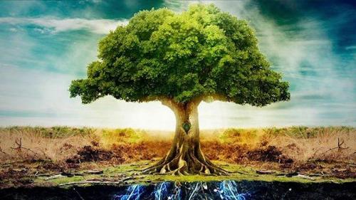 Trục Mundi Cầu nối giữa Thiên Đường và Trái Đất?