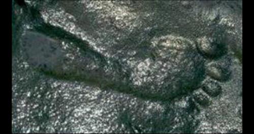 Dấu chân người 290 triệu năm tuổi khiến khoa học bối rối