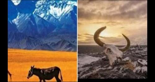 Tại sao núi Côn Lôn quanh năm được canh gác nghiêm ngặt