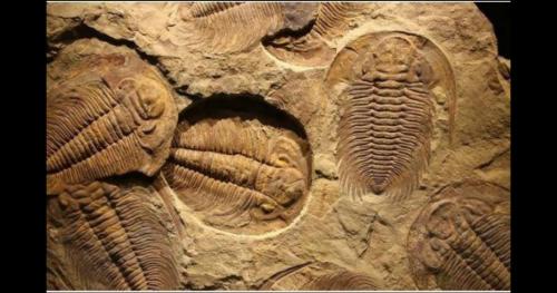 Tảng đá cổ Trung Quốc tiết lộ ‘ngày tận thế’ từ nửa tỉ năm trước