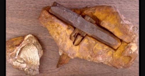 7 cổ vật triệu năm tuổi tiếp tục đánh đố các nhà khoa học!