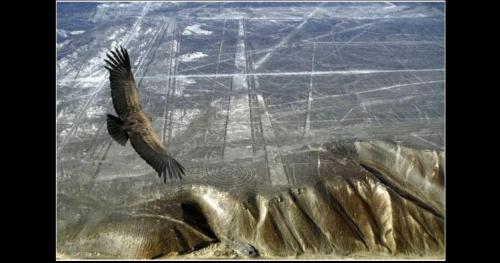 Bí ẩn kỳ quan cổ đại: Hình vẽ khổng lồ giữa sa mạc