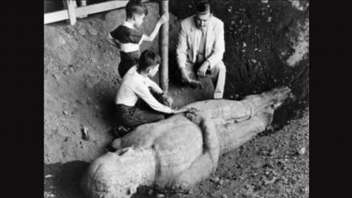 Đang đào giếng, hoảng hồn phát hiện người khổng lồ 