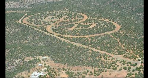 Người ngoài hành tinh: những sự kiện giật gân những năm qua