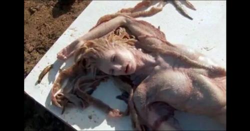 Lại xuất hiện xác người cá xinh đẹp trên bờ biển Tây Ban Nha