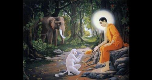 Chuyện cổ Phật gia: Ác khẩu gây khẩu nghiệp, báo ứng không hề nhẹ