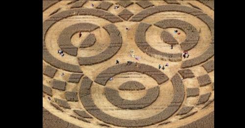 Giải mã ý nghĩa vòng tròn ngoài hành tinh khổng lồ giữa cánh đồng ở Đức