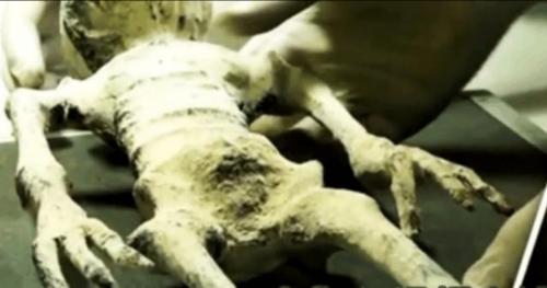 Em bé người ngoài hành tinh bị bỏ rơi tại Mexico và khu vực 51 bí ẩn của Mỹ