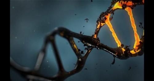 Tất cả loài người là hậu duệ của một cặp đôi đã sống 200.000 năm trước?