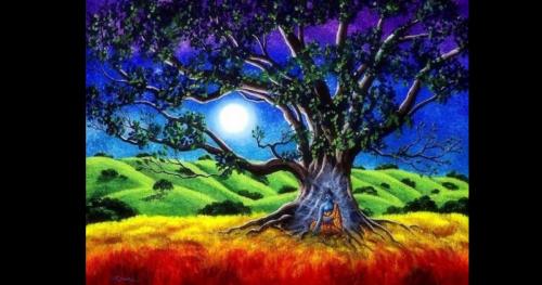 Năng lượng từ thực vật: Làm thế nào để cây xanh giúp chúng ta chữa lành?